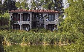Viñedos San Lucas